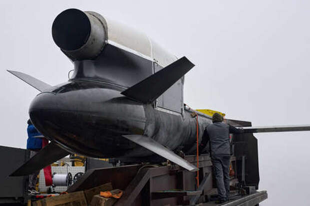 Tagesspiegel: проект украинских ракет «Фламинго» потерпел неудачу