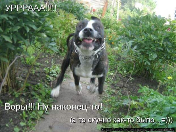 Мысли вслух :)