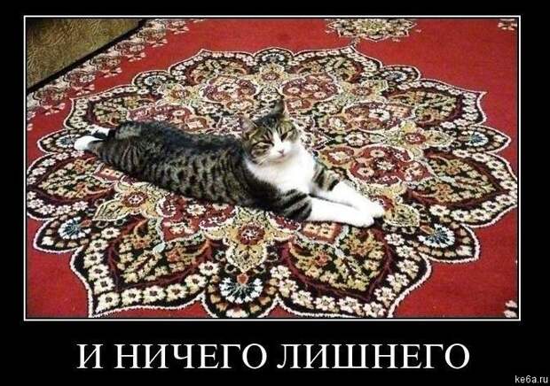 Животным смешно, а вам? (90 фото) smeshnie shivotnie 46 Животным смешно, а вам? (90 фото)