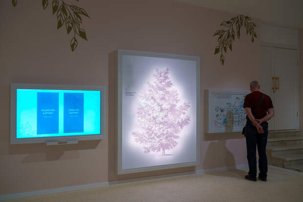 Экспозиция выставки «Эмоции природы, природа эмоций. Пушкинский литературный ландшафт»