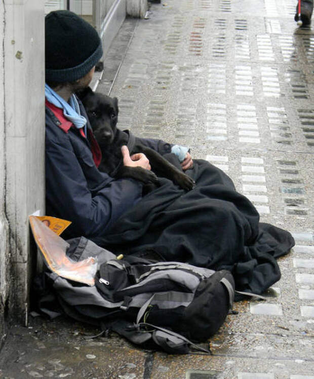 dogs_dont_care_about_money_all_they_need_is_love_640_17