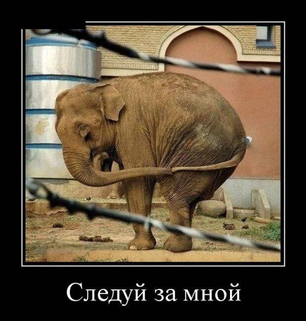 Демотиваторы Демотиваторы