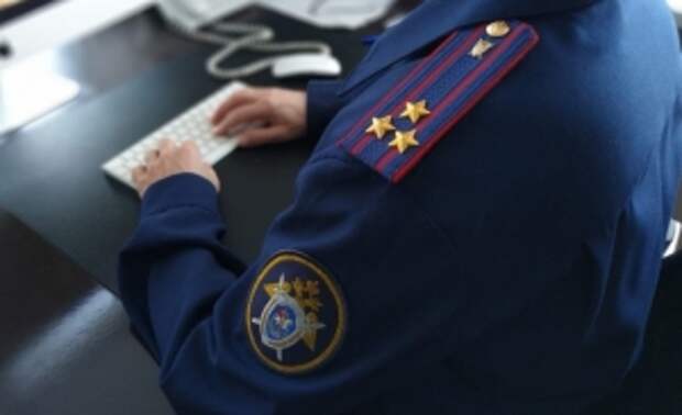 Председатель СК России поручил возбудить уголовное дело по обращению жительницы Хабаровского края и ЕАО о нарушении её жилищных прав