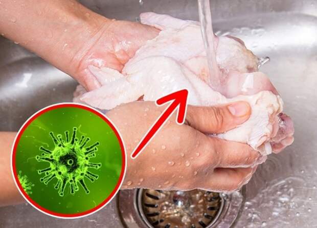 Курицу перед приготовлением нежелательно мыть под проточной водой. Курицу перед приготовлением нежелательно мыть под проточной водой.