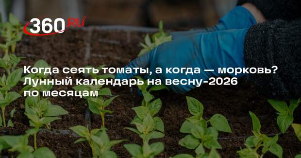 Агроном Тихонова раскрыла, стоит ли дачникам опираться на лунный календарь