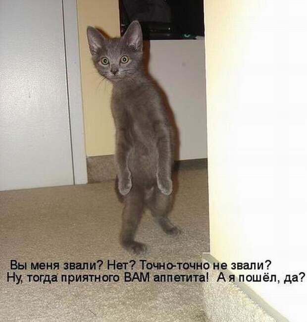 Мысли вслух :)