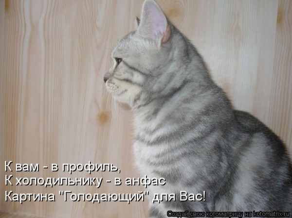 Мысли вслух :)