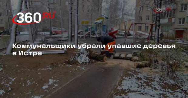 Коммунальщики убрали упавшие деревья в Истре