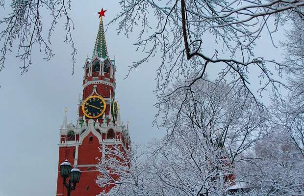 Россиянина оштрафовали после обращения к Путину