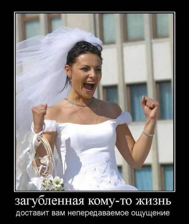 Демотиваторы (30 фото)