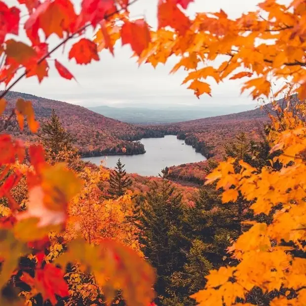 20 фото, сделанные обычными людьми, но выглядящие как работы профессионалов