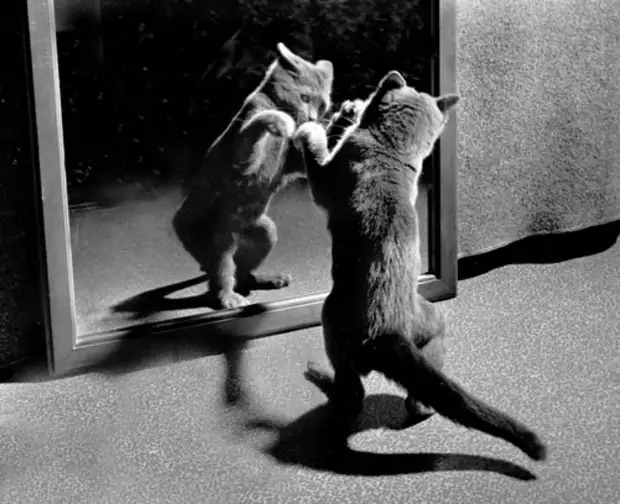 ������ ������� � �������, ������� 70 ��� �������������� �����   3