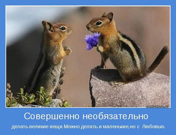 Позитивные мотиваторы с глубоким смыслом (10 фото)