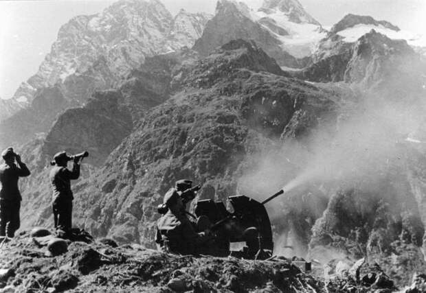 Поражение Гитлера в борьбе за кавказскую нефть в 1942 году