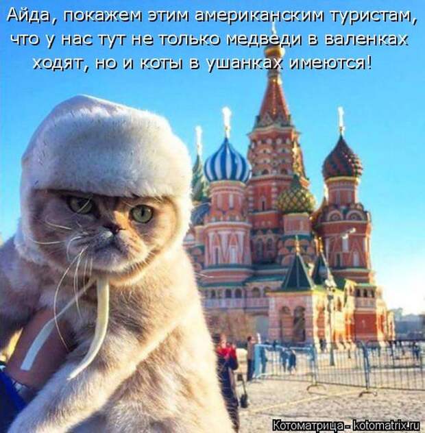 Забавные котоматрицы