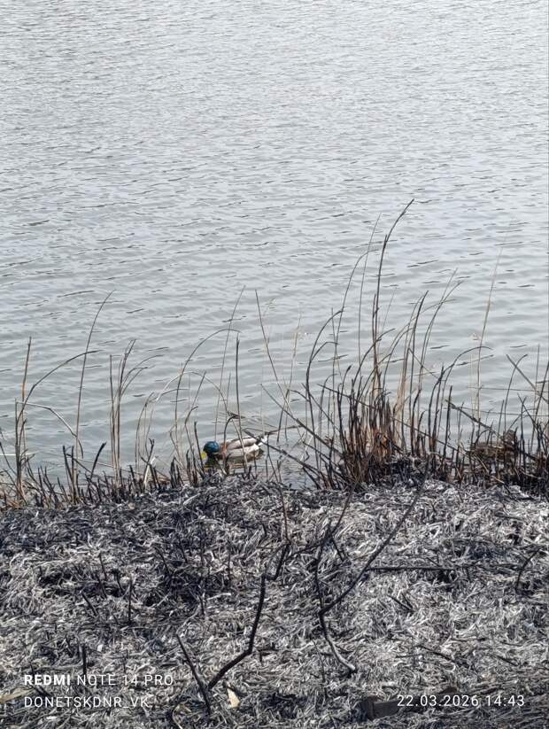 Погорельцы на набережной Донецка