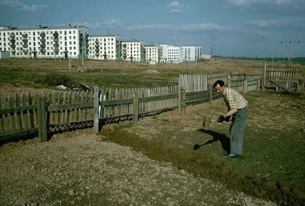 Огород на окраине Москвы. Зюзино, 1964 год СССР, история, фотографии
