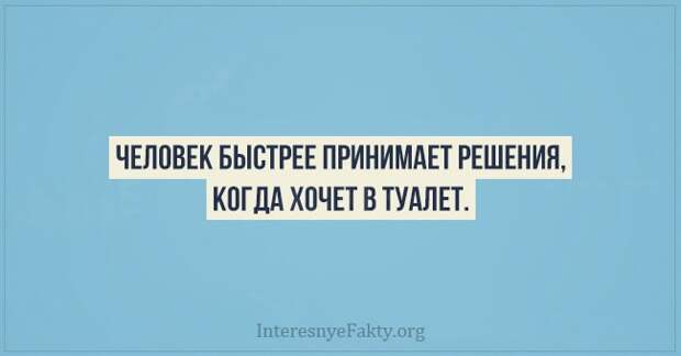Психологические факты - INFOnotes