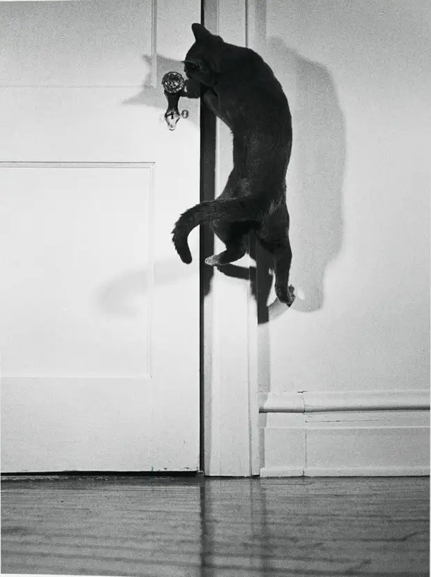 ������ ������� � �������, ������� 70 ��� �������������� �����   36