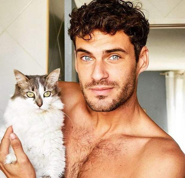 Горячие парни с котиками, Hot Dudes With Kittens