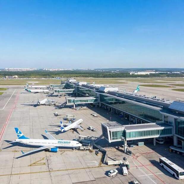 Досмотр досмотра, или почему грузу в Шереметьево не верят, пока его не перепроверят «на всякий случай»