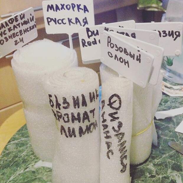 Страшное дело Страшное дело жизненно, прикол, рассада