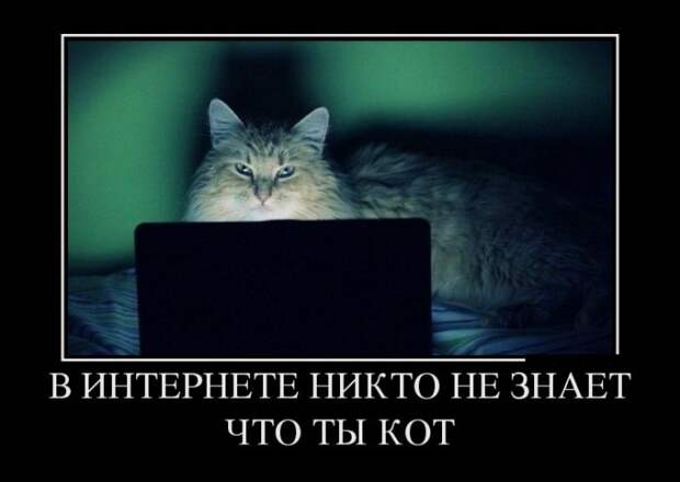 Демотиваторы (30 фото)