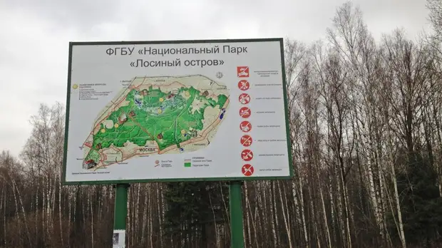 Потерявшийся шестилетний ребёнок провёл ночь в парке «Лосиный Остров»