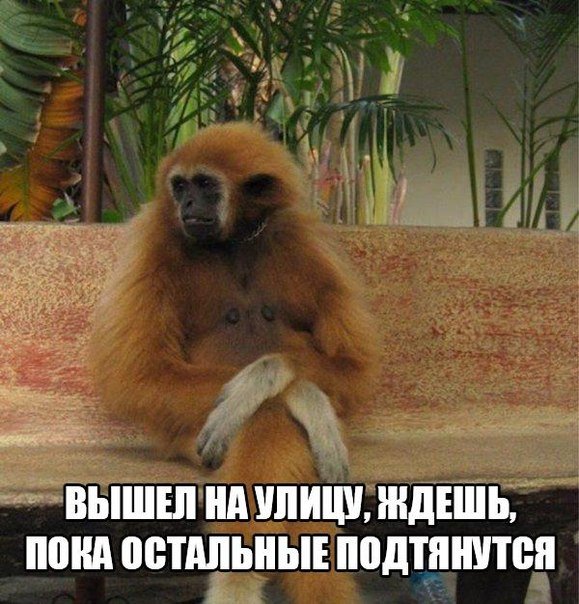 Позитивный пост+97 Позитивный пост+97