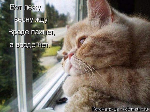 Р·Р°РіСЂСѓР¶РµРЅРѕ (6) (548x411, 207Kb)