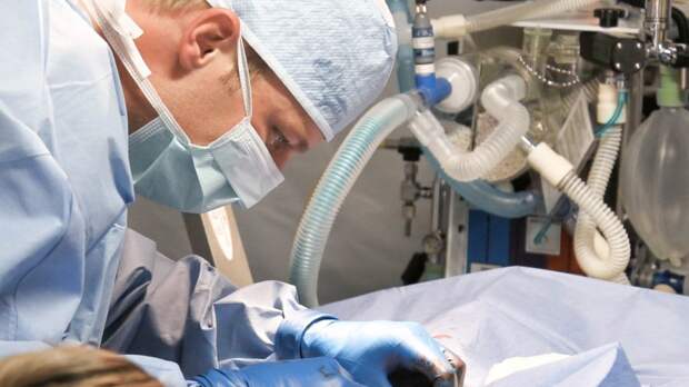 Бурятские врачи спасли жизнь пенсионерки, впавшей в кому из-за забытой в ухе ваты