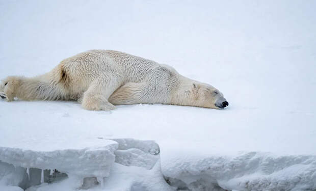 Фото: Геологическая служба США