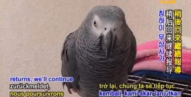 clip_image007 clip_image007