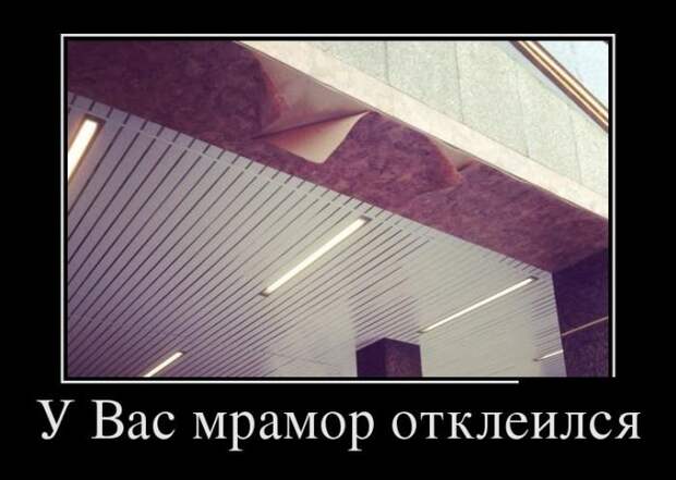 Демотиваторы на четверг (30 фото)