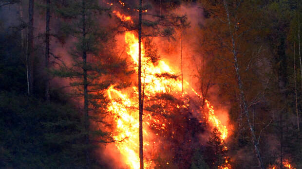 Десятилетие за решеткой: подростки подожгли лес в Забайкалье