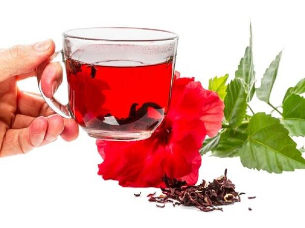 Hand with a cup of hot tea and hibiscus flower. Isolated on white background