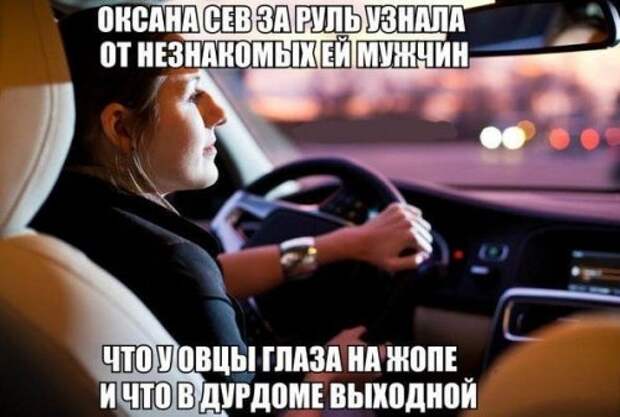 Смешные автоприколы (30 фото)
