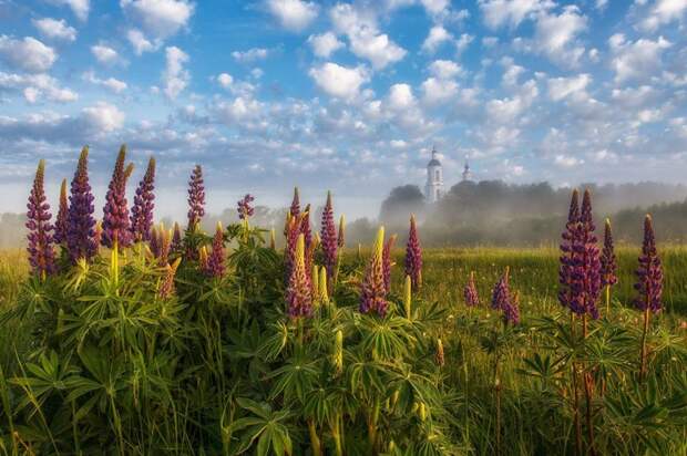 Природа России 103