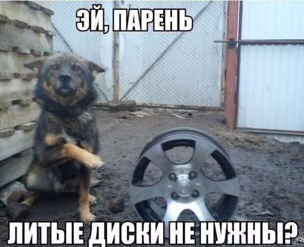 21.  авто, автоприколы, приколы