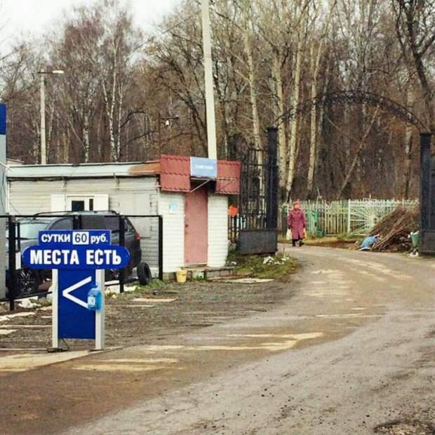 Черного юмора пост (53 фото)
