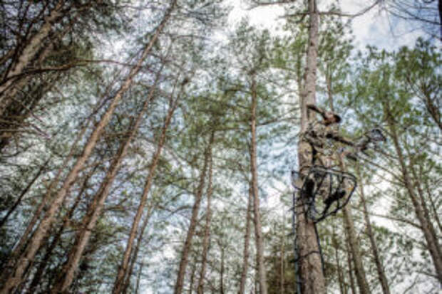 Bowhunting: How Far to Shoot A Deer