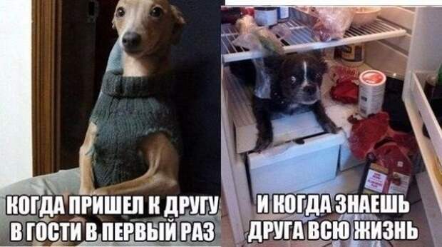 Позитивный пост+111