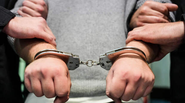 Основателя горнопромышленного комплекса Кима задержали в аэропорту Шереметьево