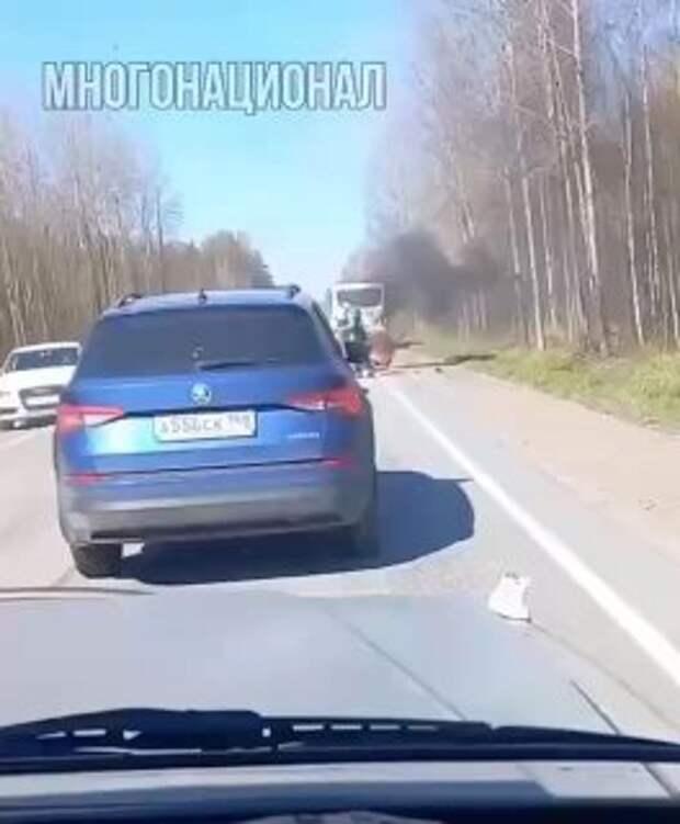 Донецкая группа новостей, Донецк ДНР