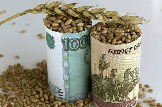 Россия экспортировала рекордные объемы зерна