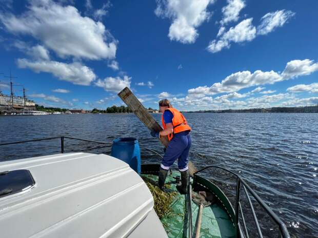 Ради выпускников в петербургских реках и каналах скосили водоросли