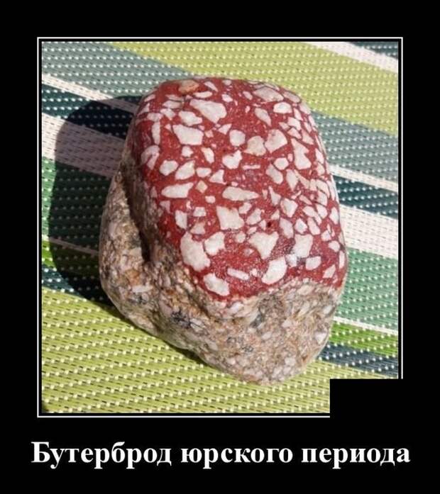 Демотиваторы (20 фото)