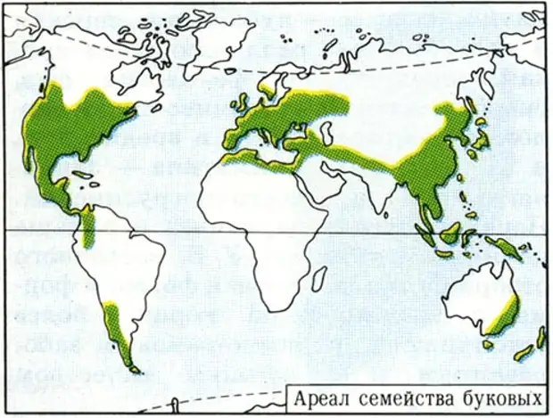 Карта распространения дуба в россии