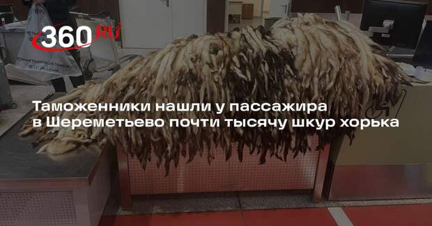 Таможенники нашли у пассажира в Шереметьево почти тысячу шкур хорька