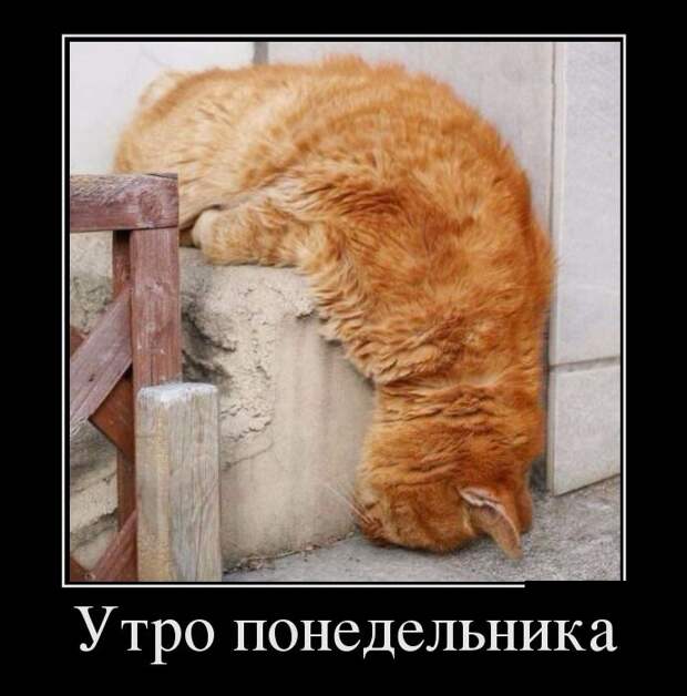 Демотиваторы (30 фото)
